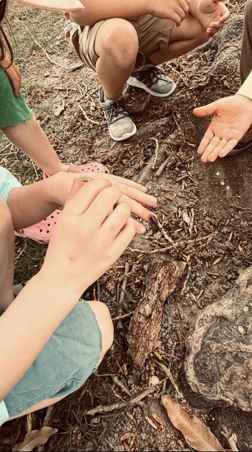 Little TOE : Preschool