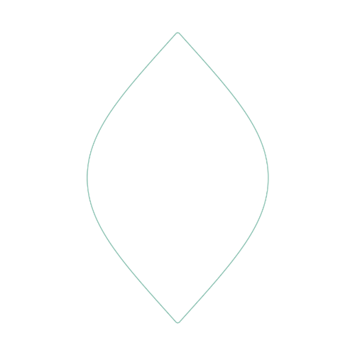 Simple outline drawing of a symmetrical leaf shape with a pointed top and bottom, on a black background.