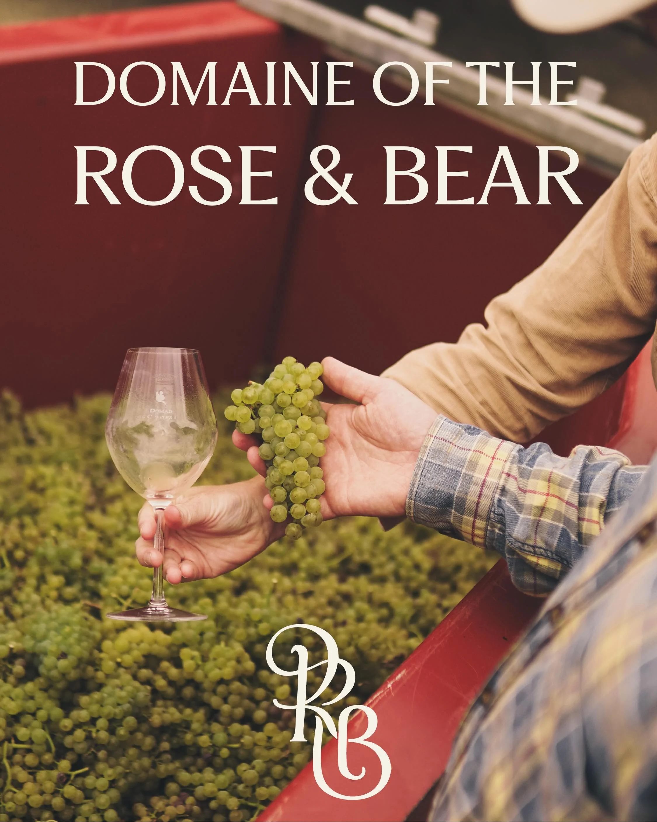 CASE STUDY &mdash; Domaine of the Rose &amp; Bear

Domaine of the Rose &amp; Bear brings together the winemaking expertise of James Snowden and Sarah Stott under the traditional model of a domaine: a shared practice rooted in craft, care, and collabo