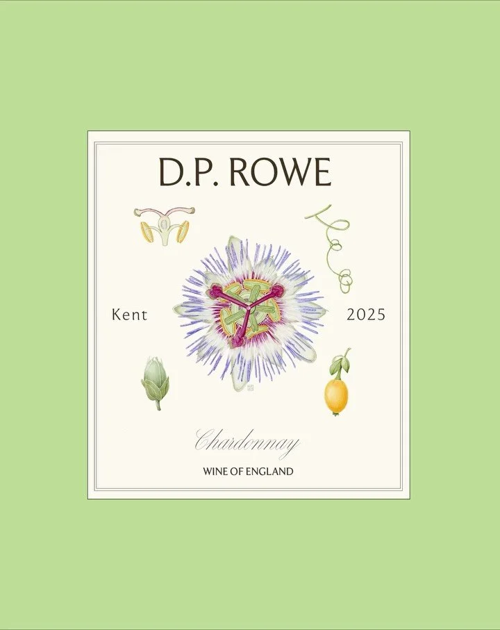 Designing the labels for Domaine of the Rose and Bear was an exercise in creating a system rather than a single outcome. The challenge was to develop a framework that could adapt across different wines while maintaining a strong sense of cohesion and