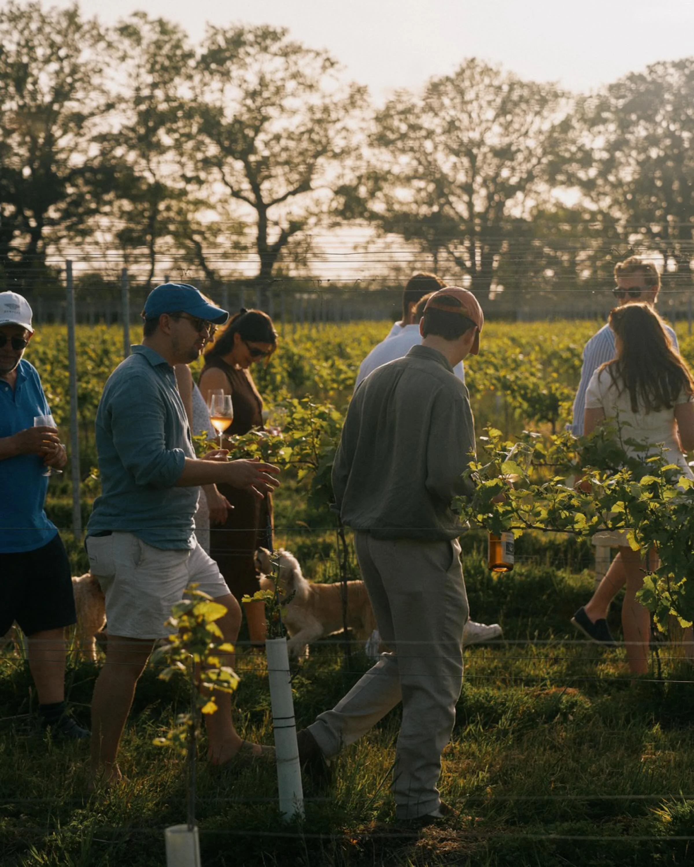 Launching a brand is always rewarding, but really it&rsquo;s only the beginning. 

There&rsquo;s something particularly special about launching a brand built around craft, generosity, and community and starting to see the real impact! 

After a year 