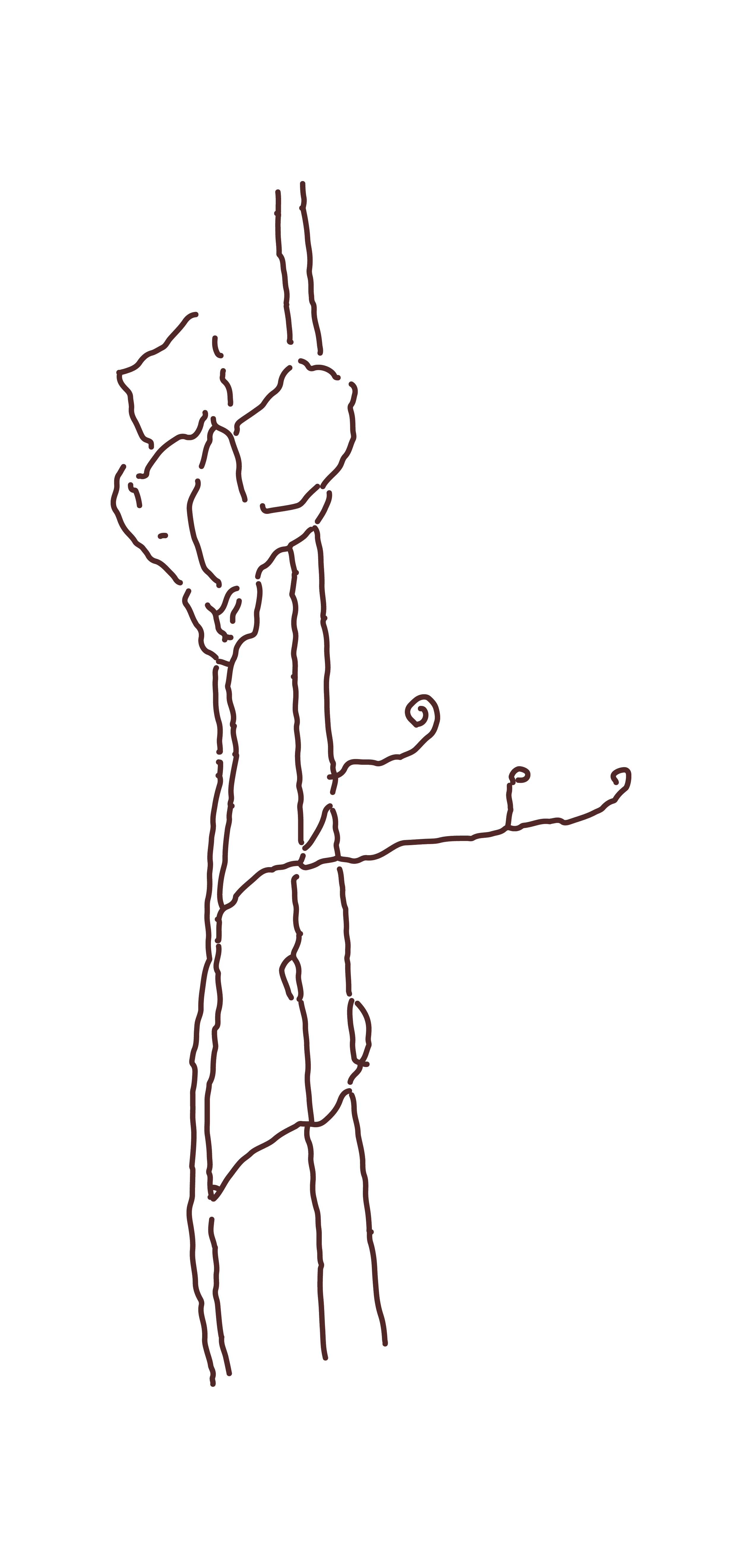 Line drawing of a flower with a large bloom and curly tendrils extending from the stem, set against a black background.