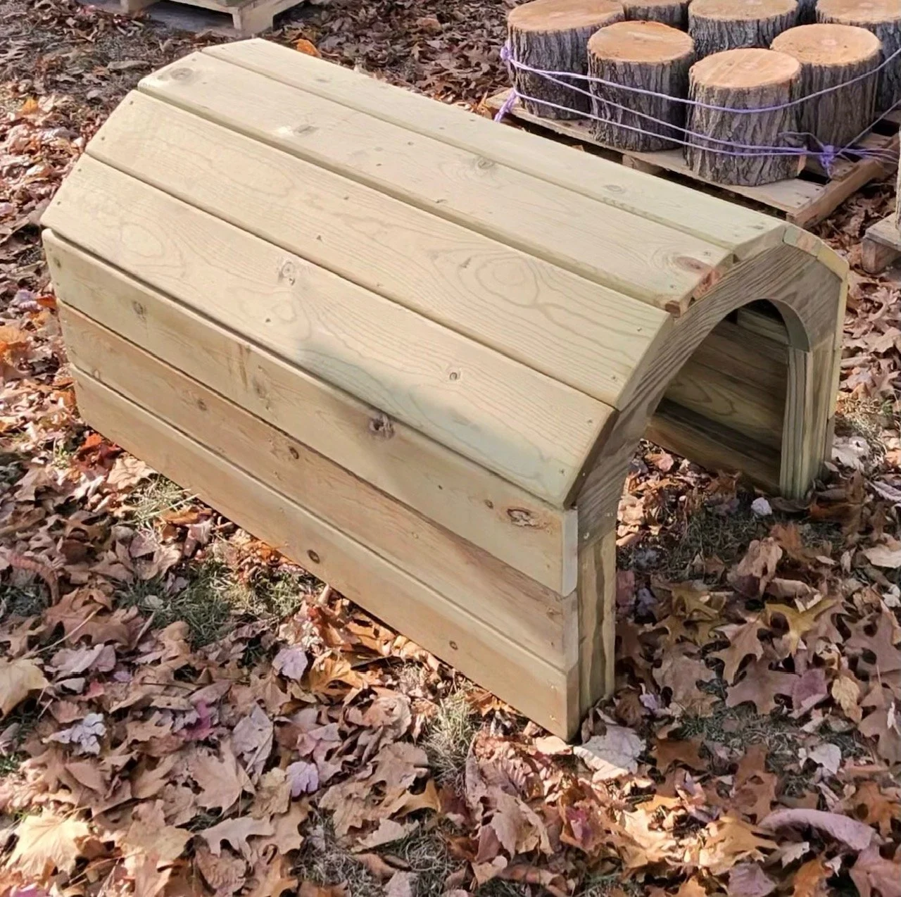 photo-2841_singular_display_fullPicture (1).jpeg