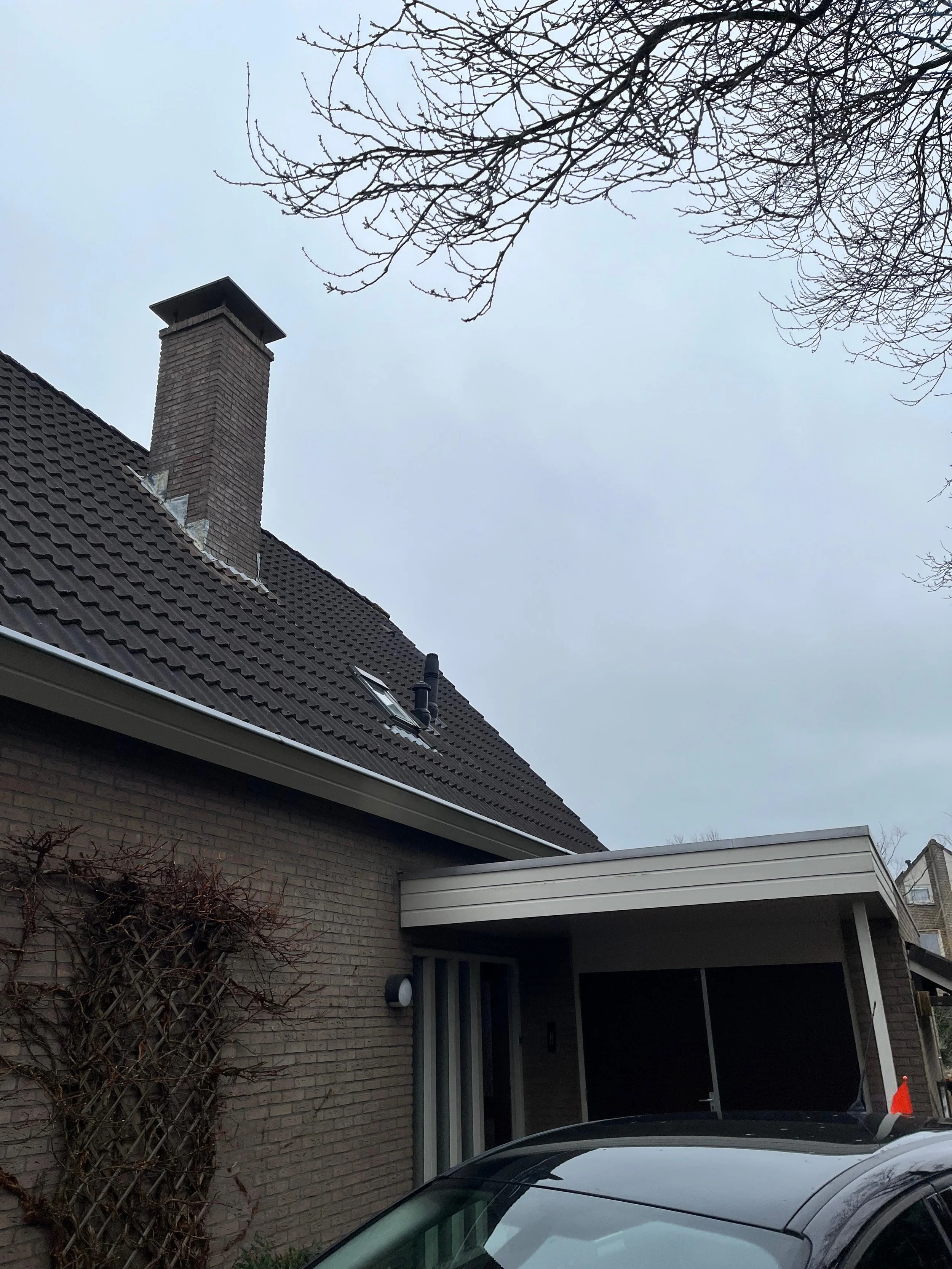 WhatsApp Image 2026-02-15 at 12.01.17.jpeg