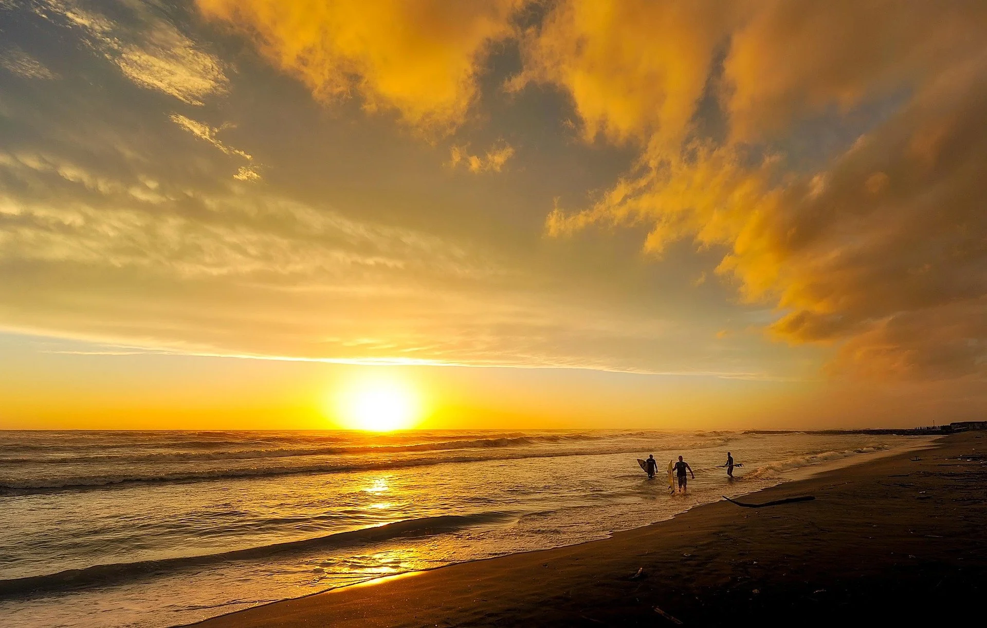 surf travel