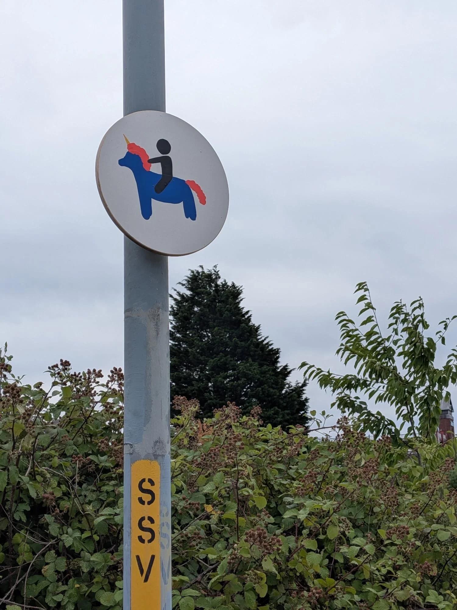 Street Signs