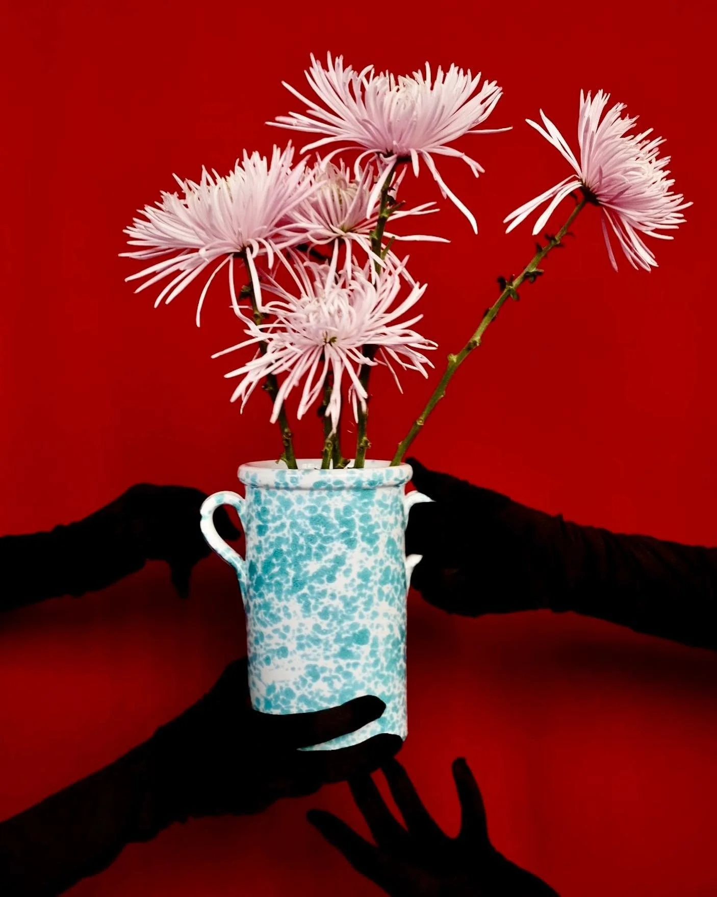 Schizzato, piatti ma non solo.