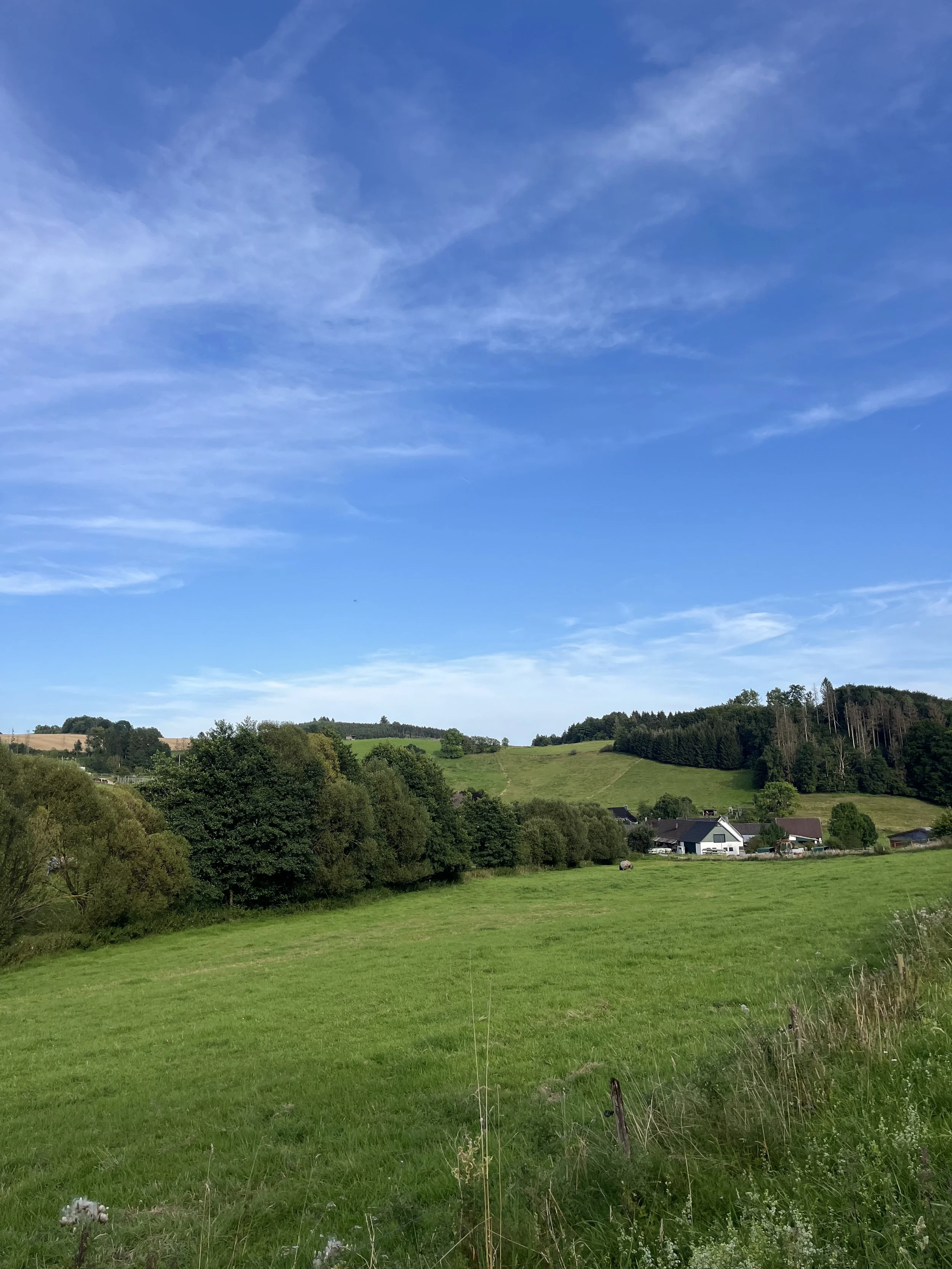 IMG_4221.jpeg