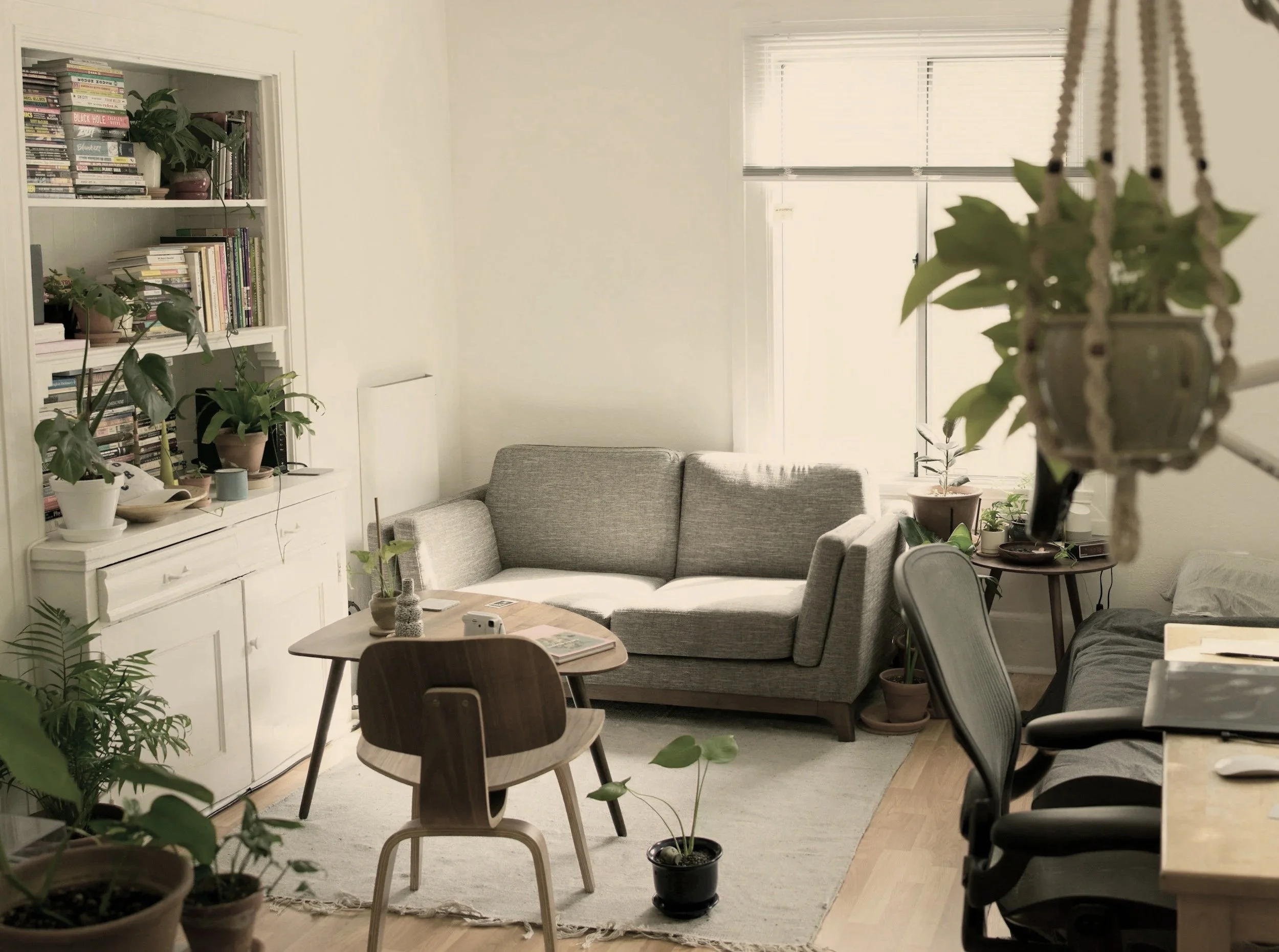 A cozy living room with a light gray sofa, wooden dining table and chairs, a white bookshelf filled with books and potted plants, a window with white blinds, and additional potted plants on side tables and the floor.