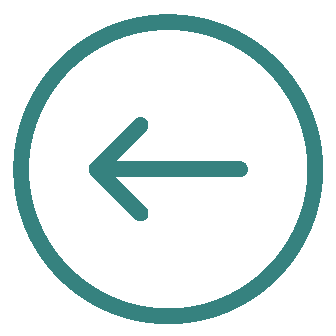 An icon of a clock with an arrow pointing left indicating a past or back action.