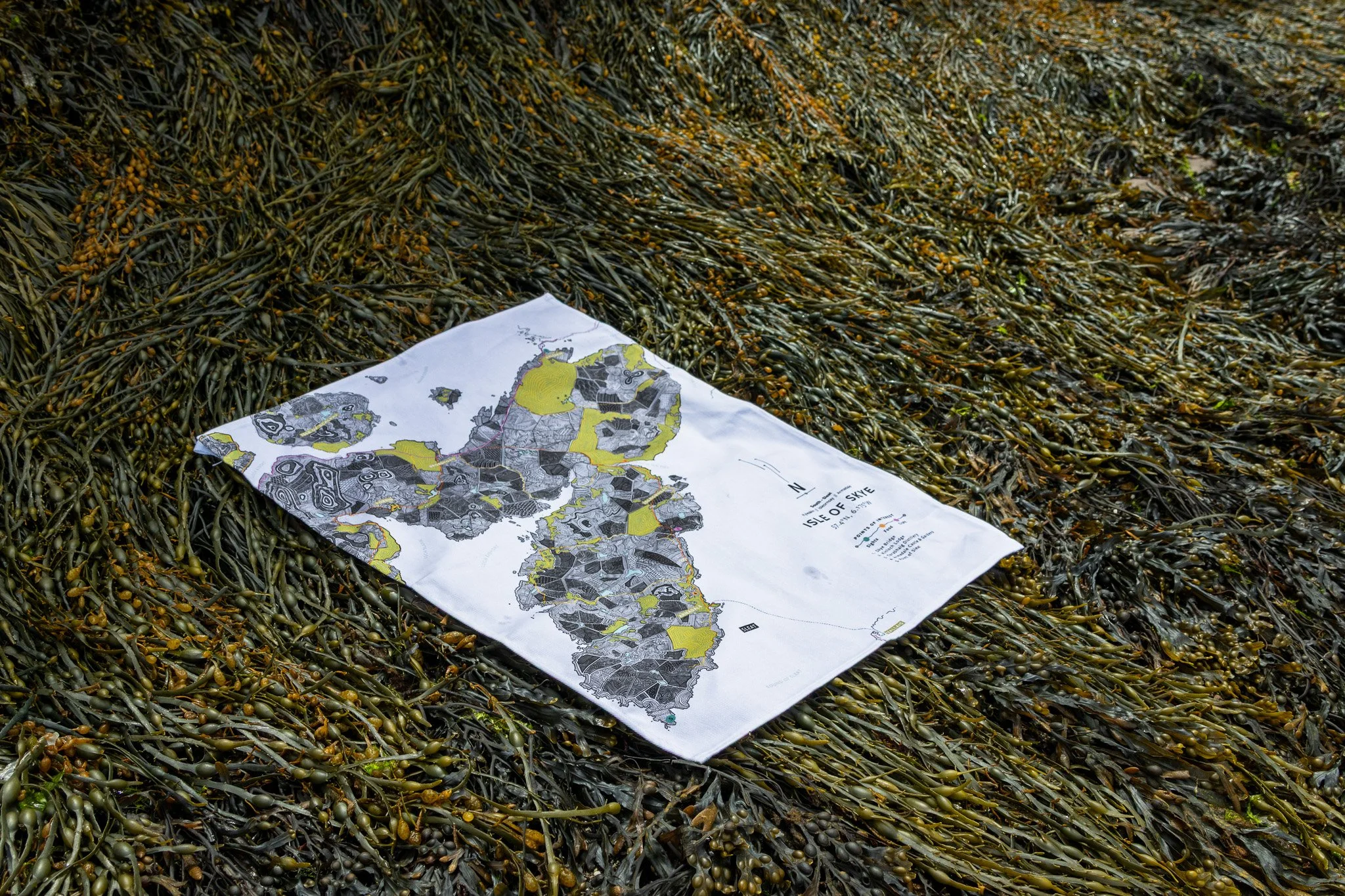 529A9016.jpg