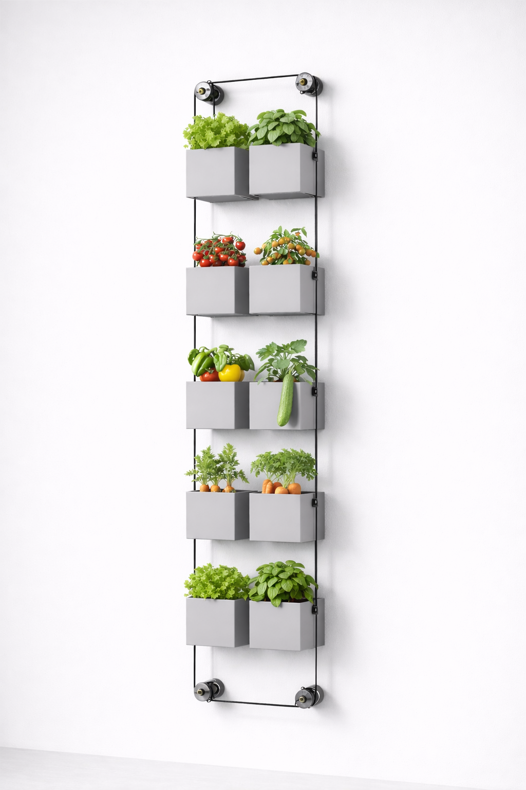 MurMûr : Medium - 12 bacs