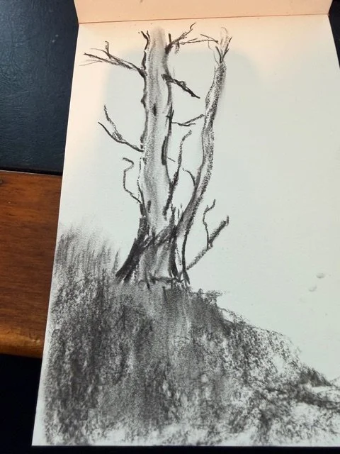 Charcoal Tree.jpeg