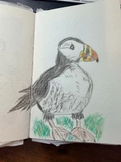 puffin.jpeg