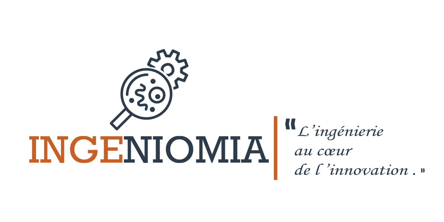 INGENIOMIA - Formation &amp; Consulting