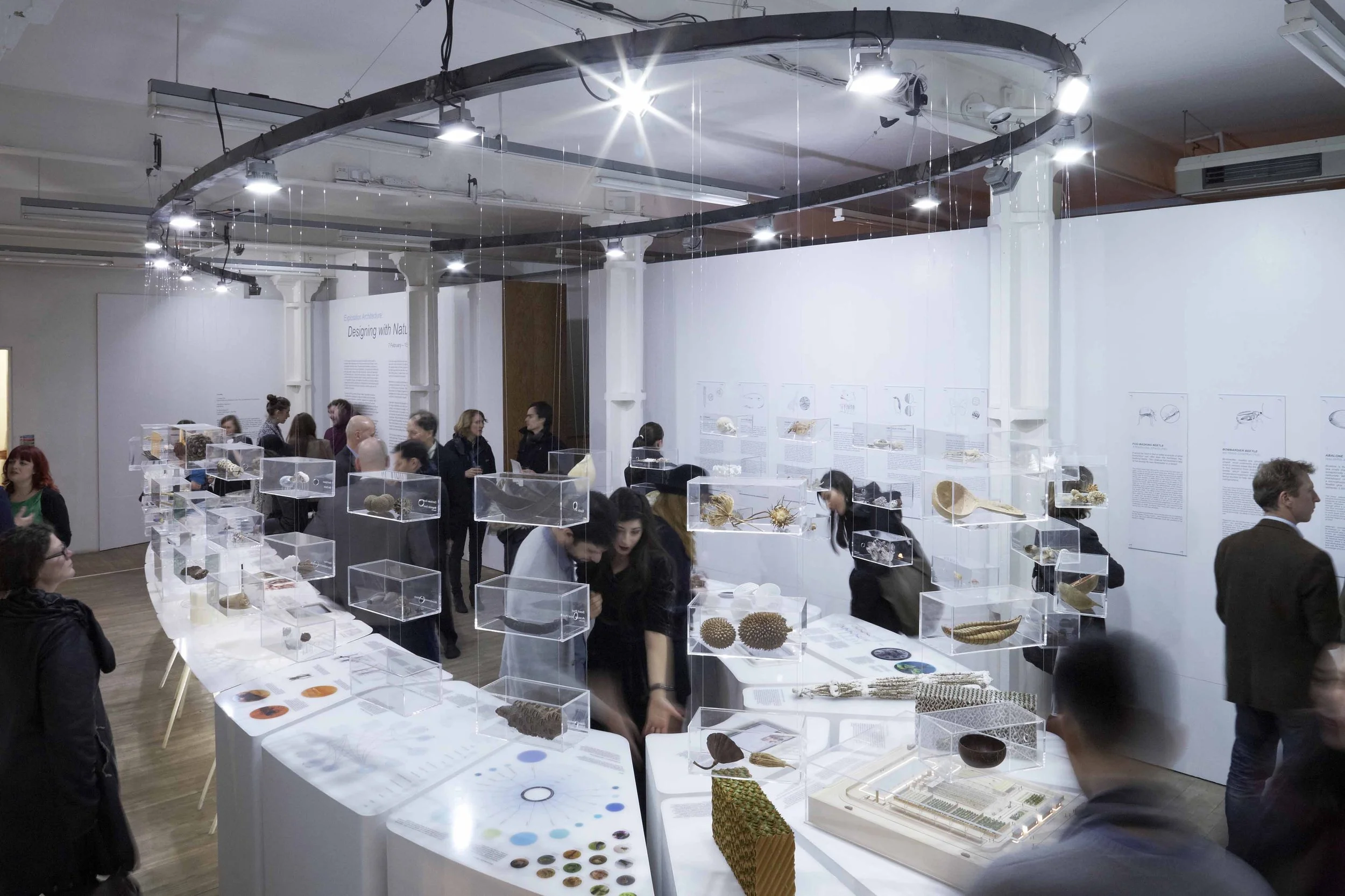 People visiting an art exhibition display with glass cases containing various natural objects, informational panels on the wall, and a white curved display table with samples and descriptions.