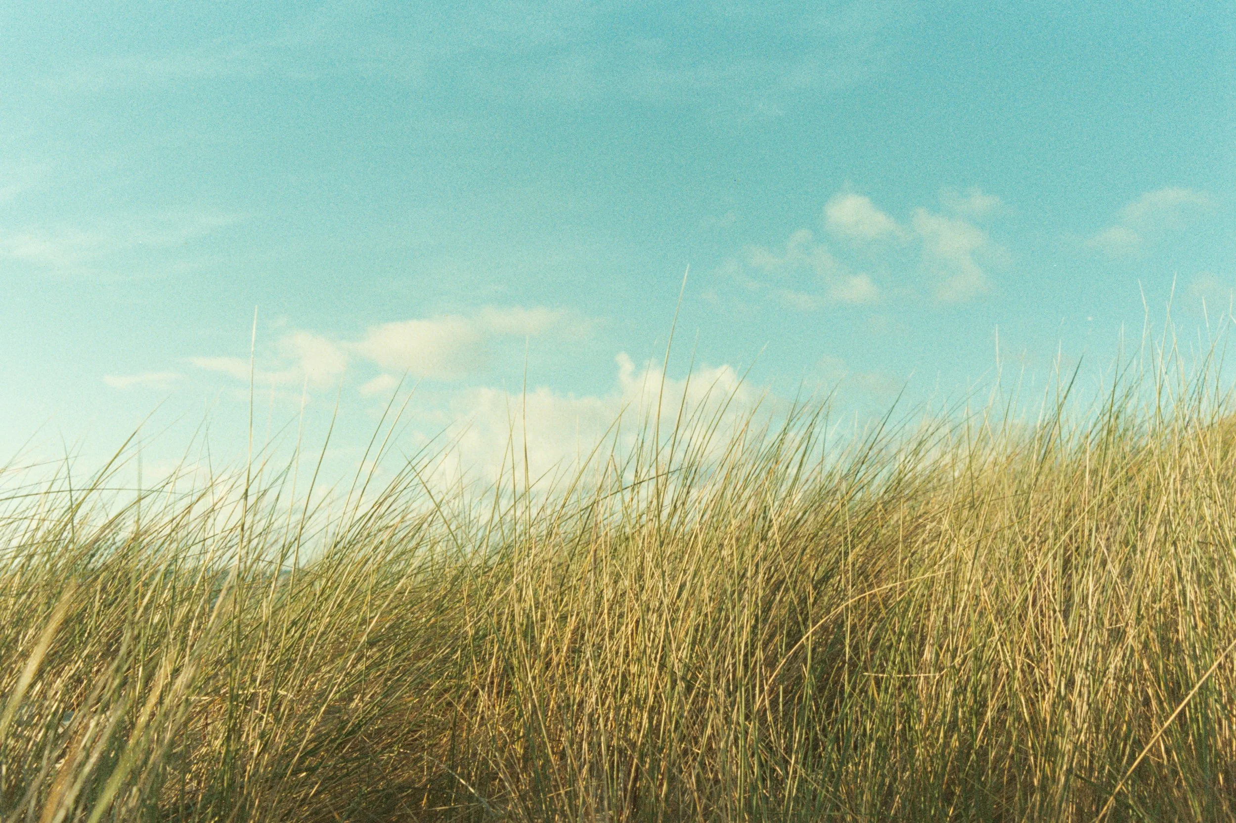 AA024(1).jpg