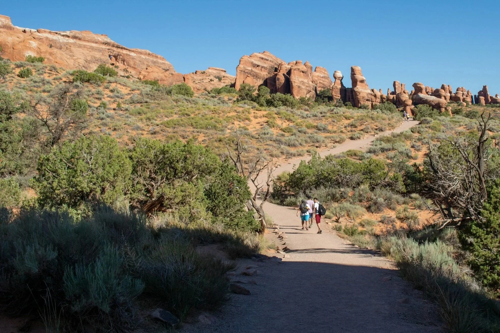 Three hikers on a desert trail surrounded by red rock formations, one pausing to look back — an invitation to join the journey at Desert FI