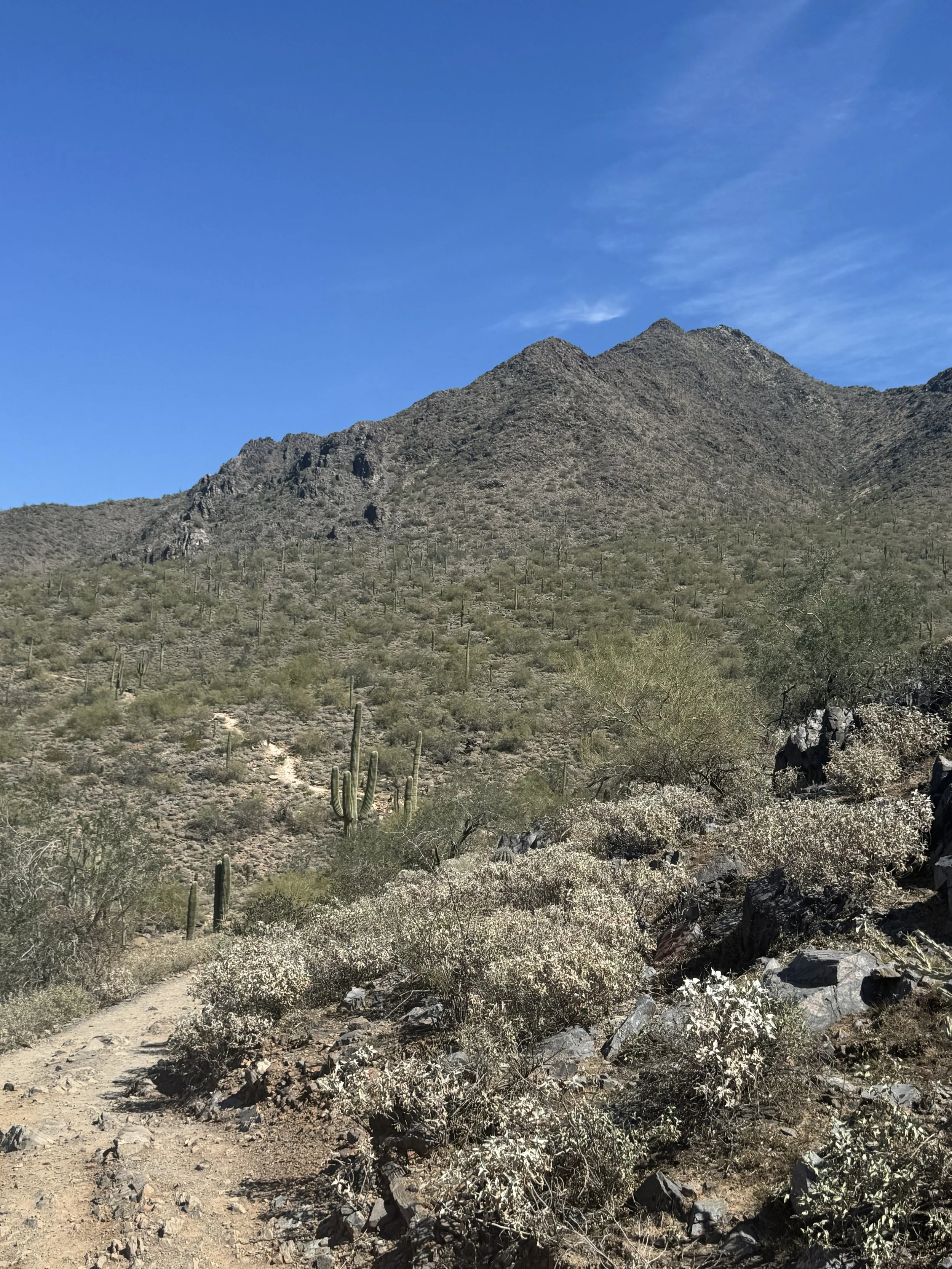 Rocky desert trail climbing toward a mountain ridge under clear blue sky, surrounded by cacti, evoking the harder trail worth taking.