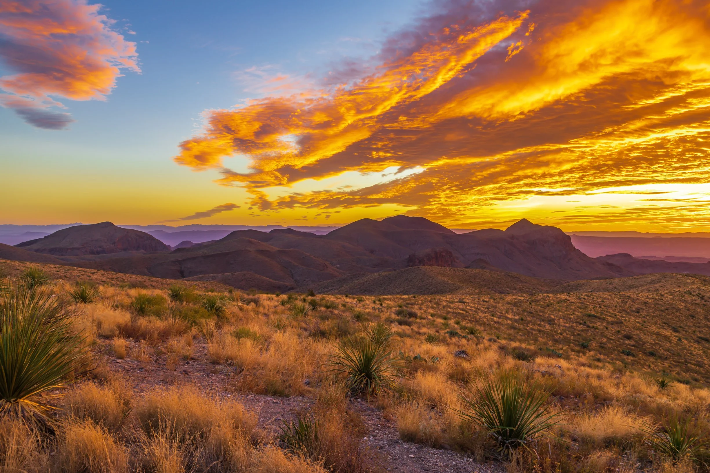 Wide panoramic desert sunset over layered mountain ridges in the American Southwest, with golden grassland, yucca plants, and dramatic amber clouds — evoking clarity, freedom, and midlife reinvention.