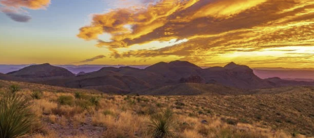 🌵 The Moment I Realized the Life I Built Wasn’t the Life I Wanted