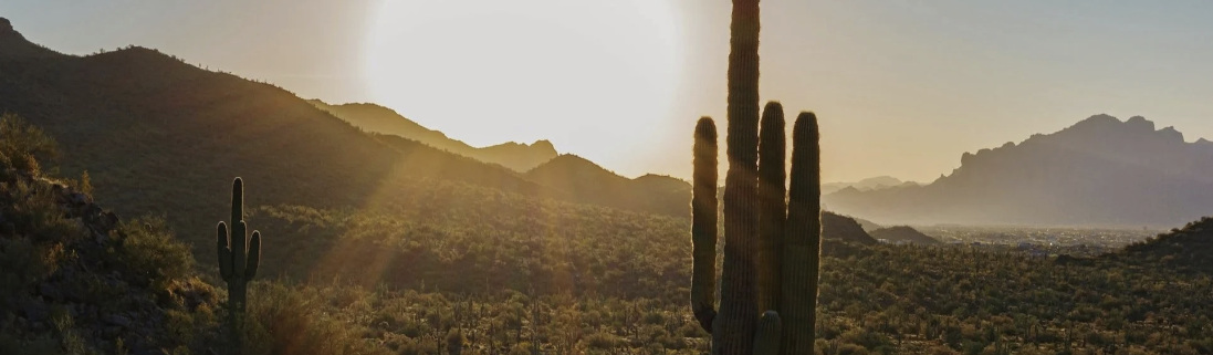 🌵 7 Principles That Can Help You Build a Rich, Balanced Life