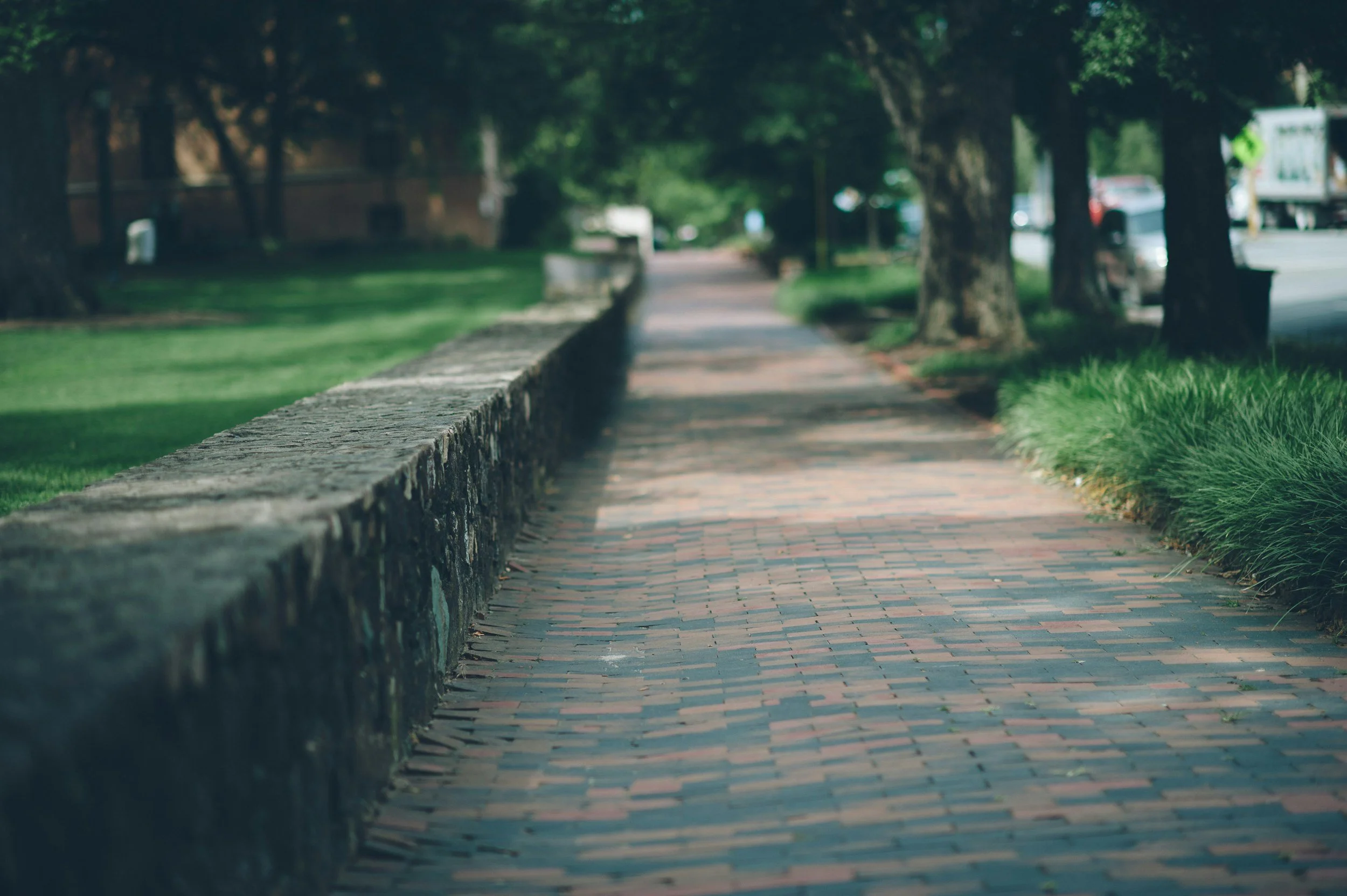 Brick walkway lined with trees in warm morning light, echoing the urgency and early ambition of running to my first business school interview.