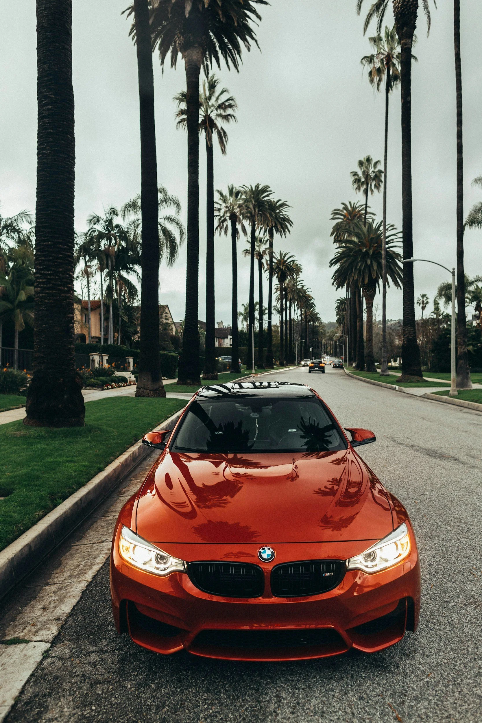 Gleaming copper BMW M4 parked front-facing on a palm-lined boulevard, headlights on, reflecting the gravitational pull of status.
