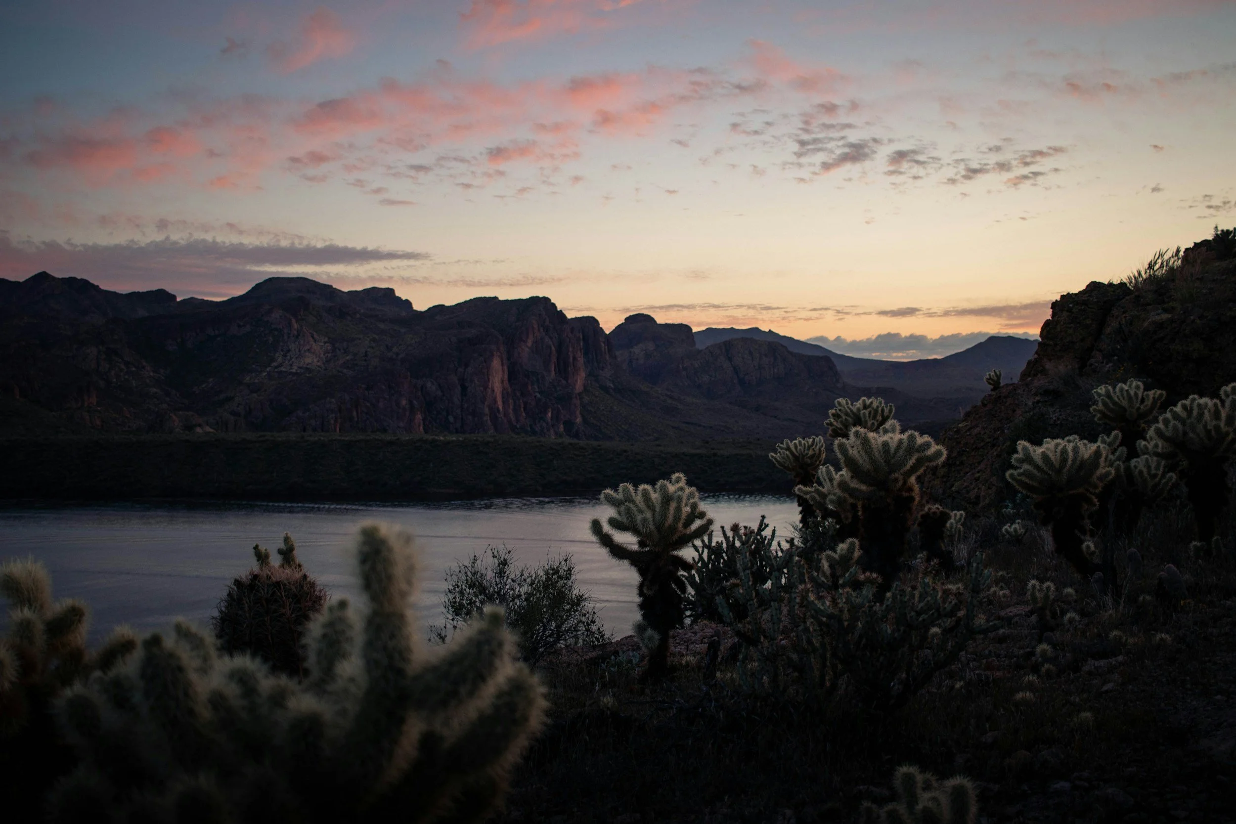 A still desert lake at dusk in the Arizona Sonoran Desert, cholla cacti silhouetted in the foreground and layered mountain ridgelines fading into a soft pastel sky of peach, pink, and lavender. This is the end-of-day stillness of financial freedom.