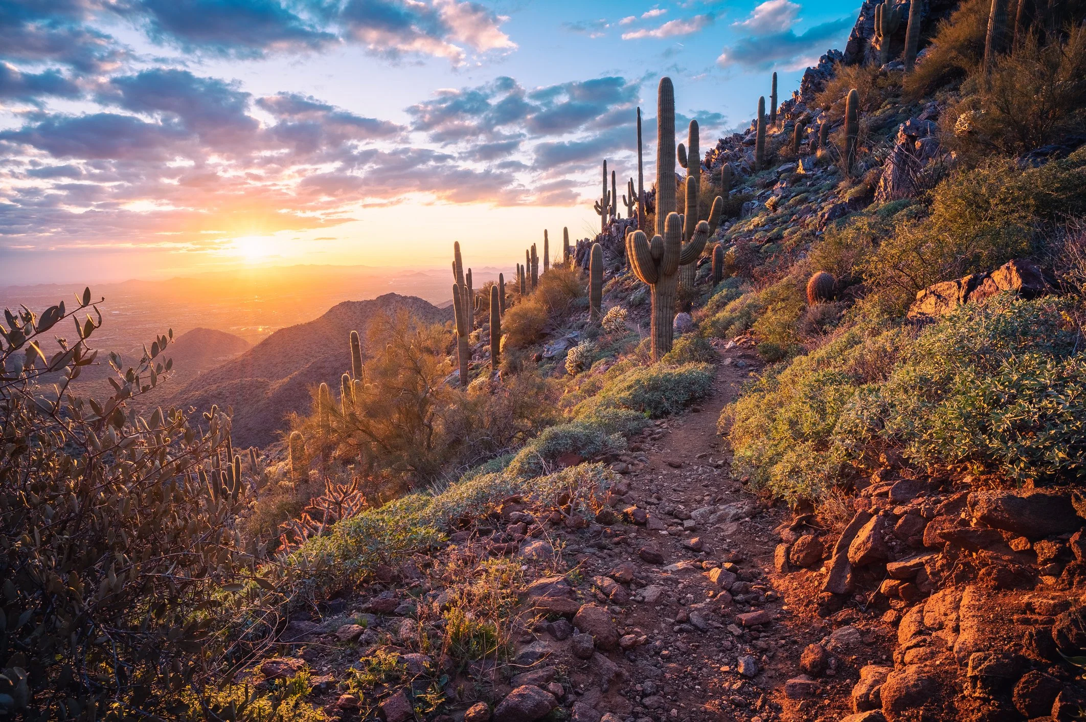 Wide panoramic view from Arizona desert hiking trail with saguaro cacti and open sky from the actual hike described in this post