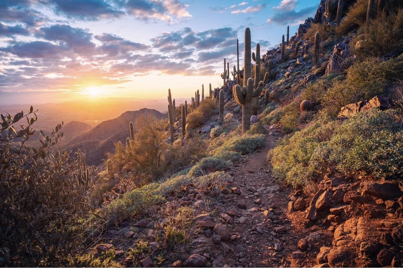 The Harder Trail: Why FINE is the Adventure Worth Taking