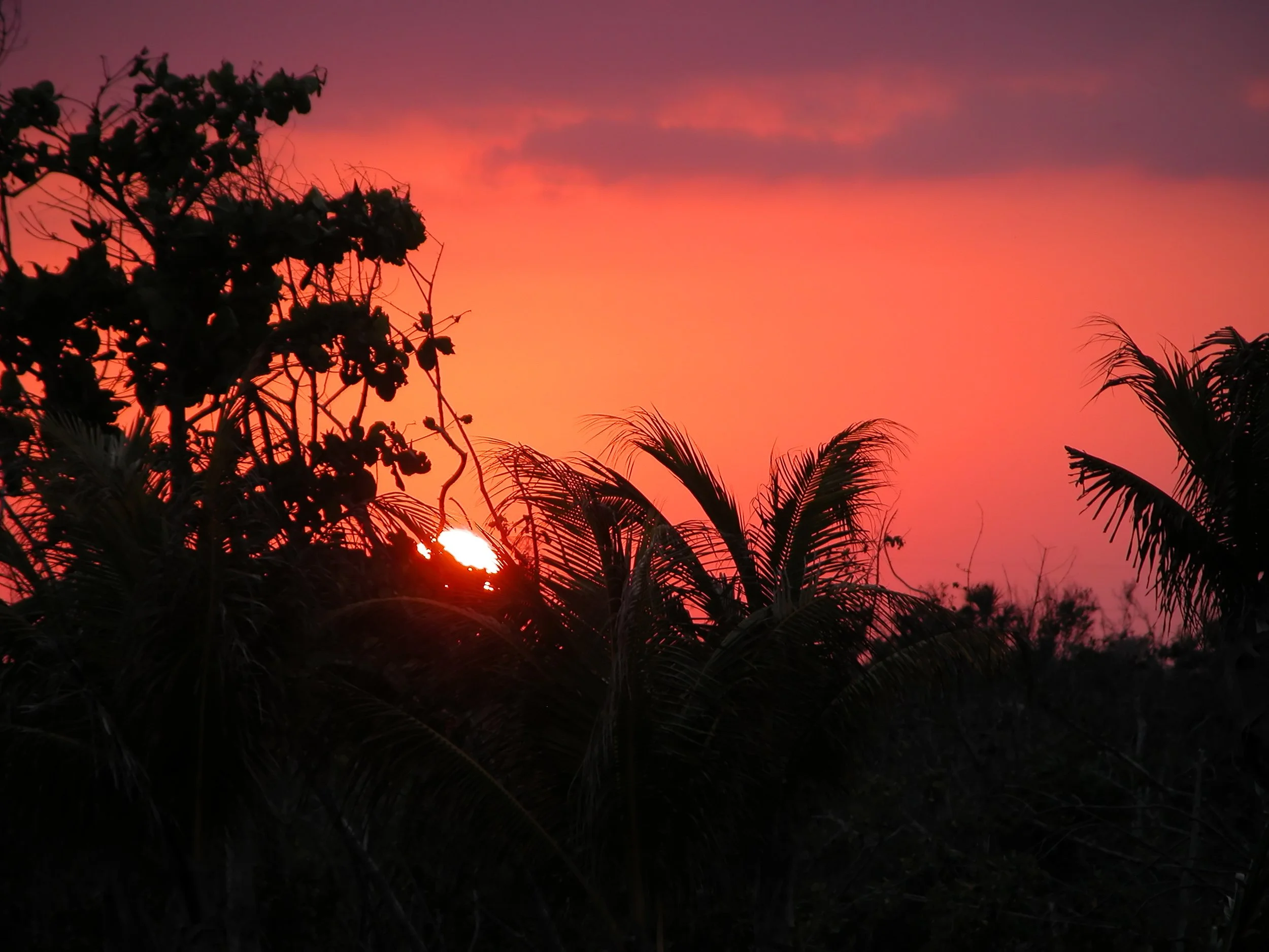 Palm silhouettes against a red sunset with the sun low on the horizon — the last evening before the village sang us goodnight.