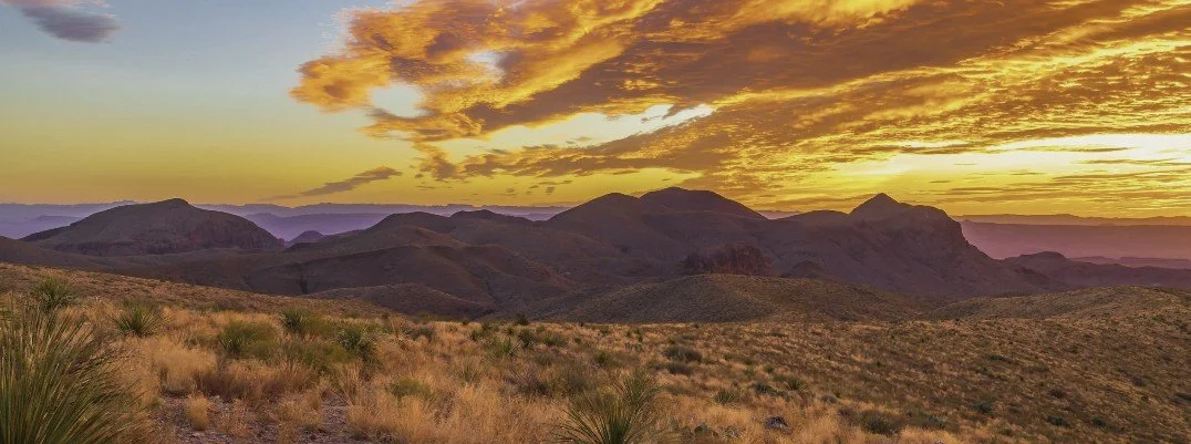 Sunrise over desert grasslands with layered purple mountains and golden clouds on the horizon.