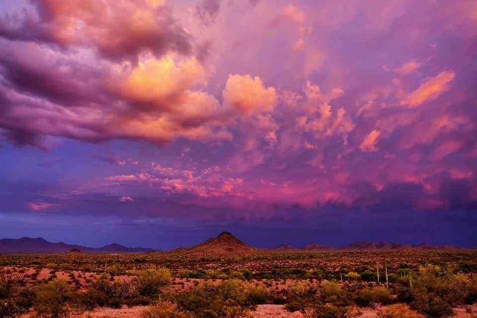 Arizona desert sunset with monsoon clouds in purple gold and pink layered over a lone desert butte with saguaro cacti in the foreground