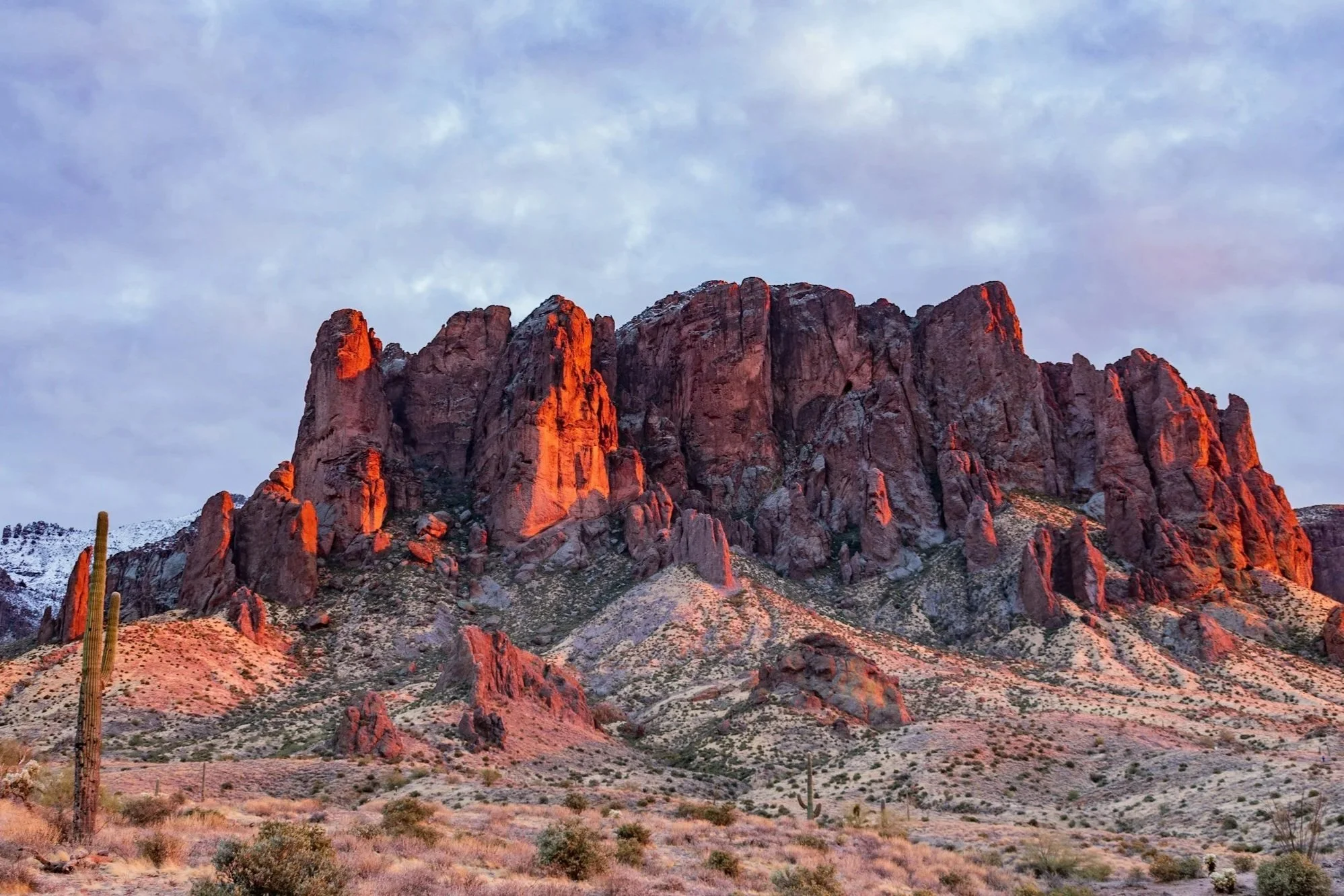 Superstition Mountains at sunrise after a winter storm, alpenglow on jagged red cliffs, snow on upper ledges, and saguaro cacti below.