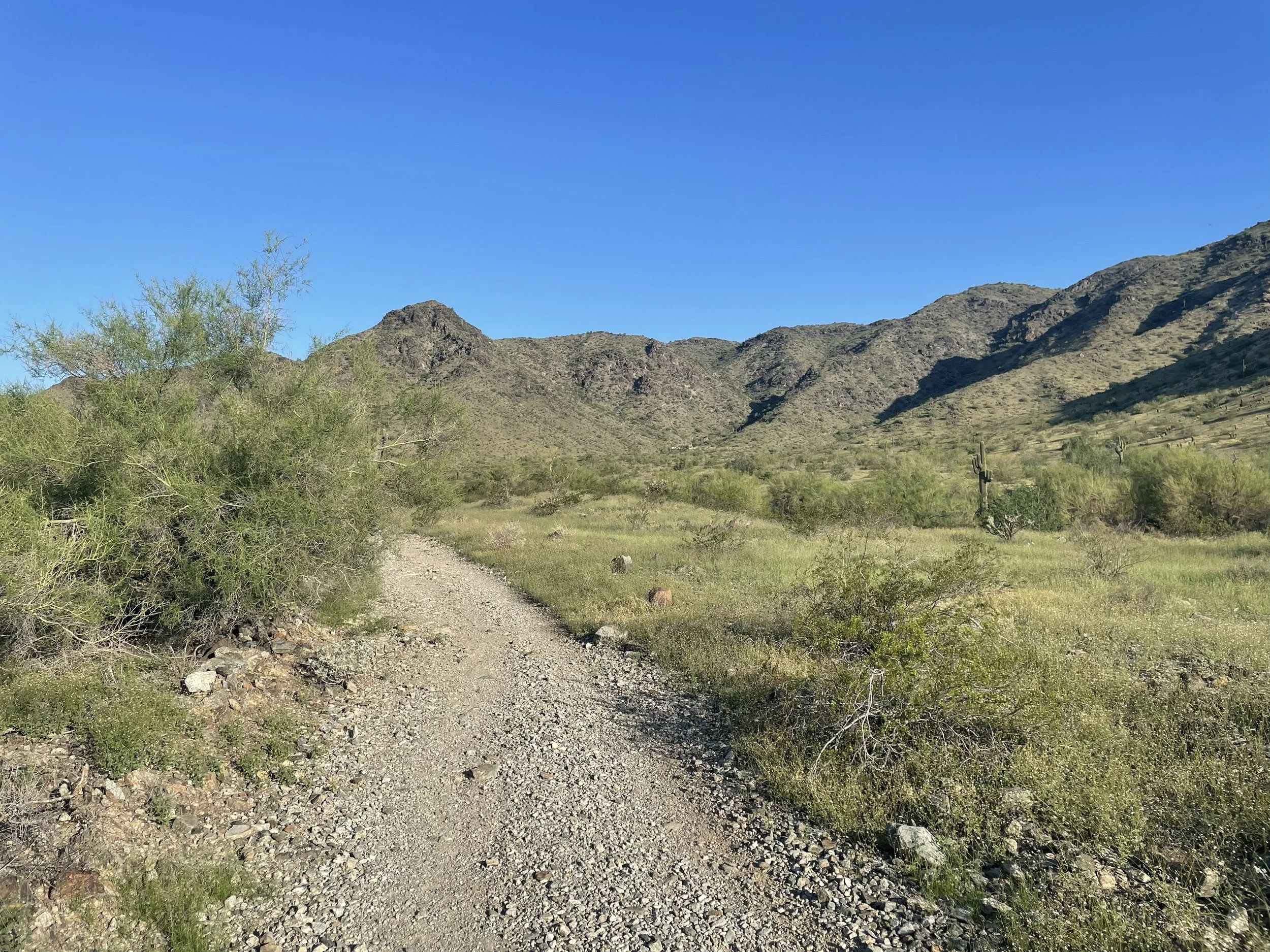 A gravel trail running toward the mountains with nobody on it — the Wednesday morning I keep imagining, and the one I'll have to walk alone.