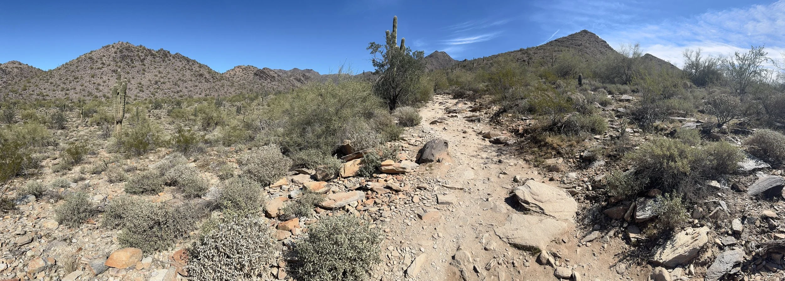 Wide desert trail winding through rocky terrain toward distant mountains under a clear blue sky, capturing the feeling of taking the next step on a meaningful path.