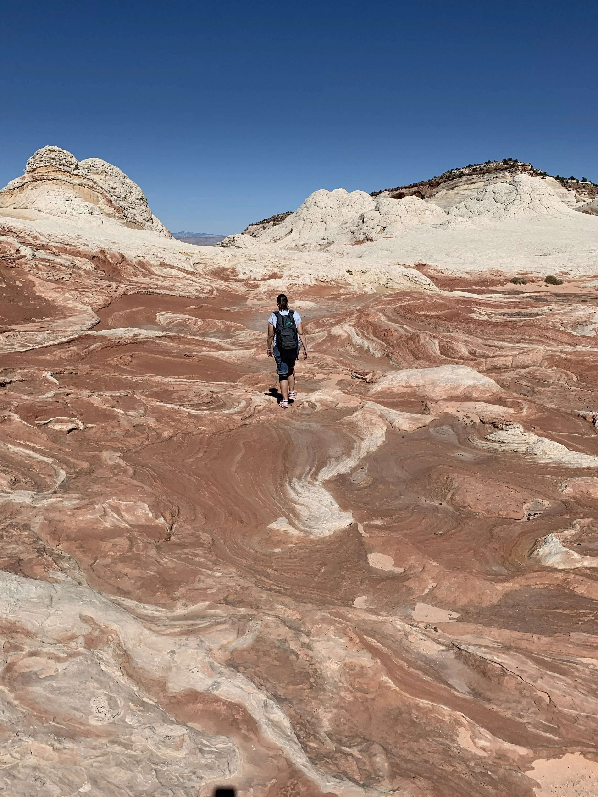A lone hiker facing away from the camera walking into the swirling sandstone landscape of White Pocket — moving toward something new.
