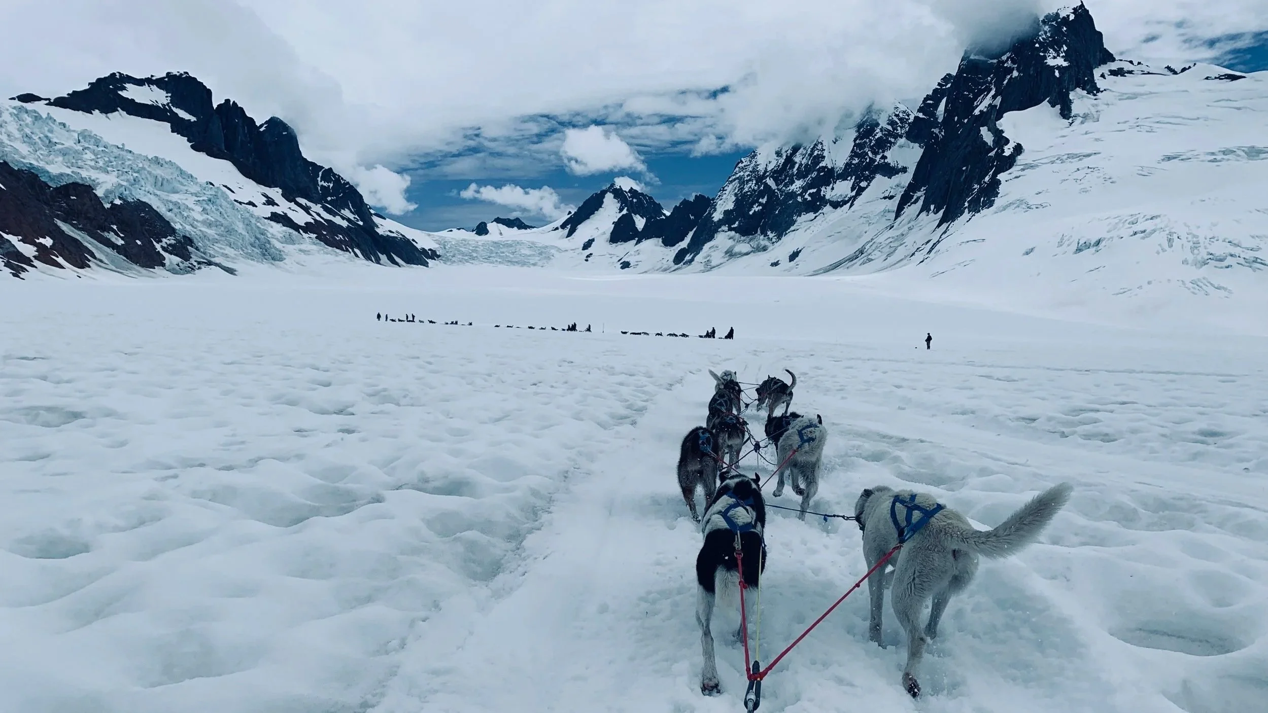 Dog sled team pulling across a vast Alaska glacier snowfield with dramatic snow-capped mountain peaks and clouds in the background.