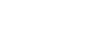 WordPress website platform logo