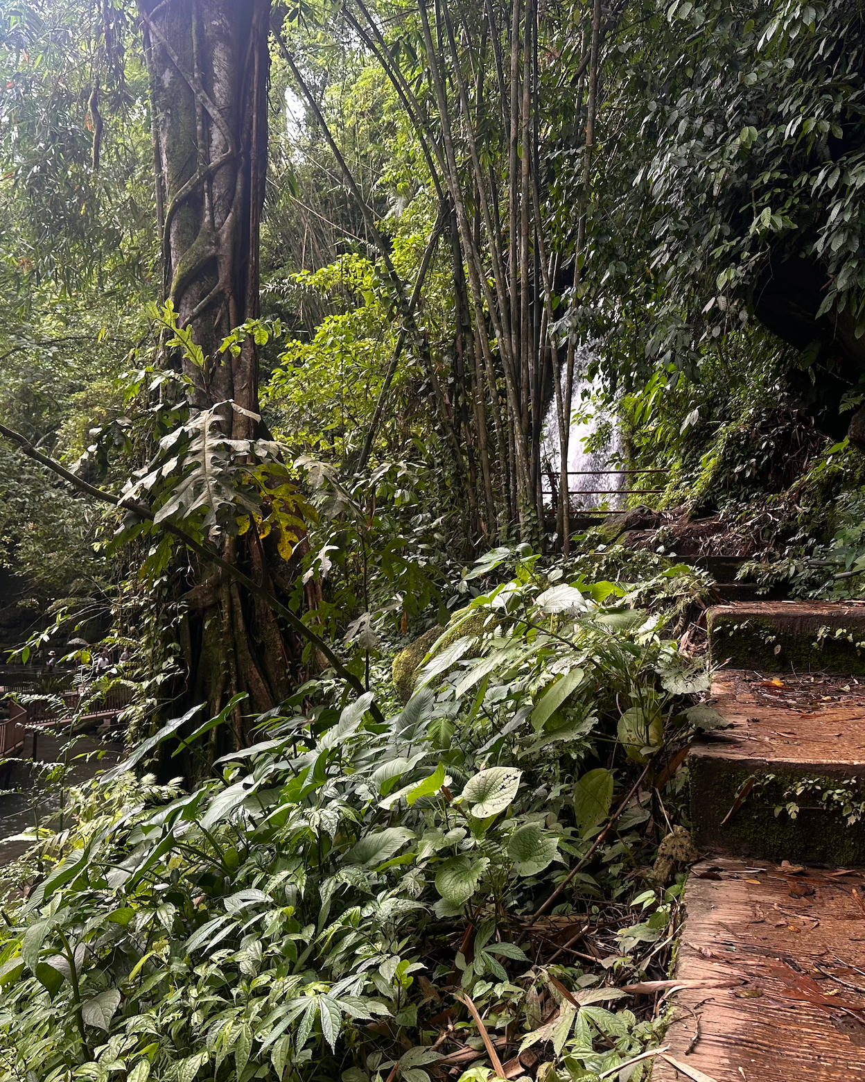 What Integrative Health Actually Means