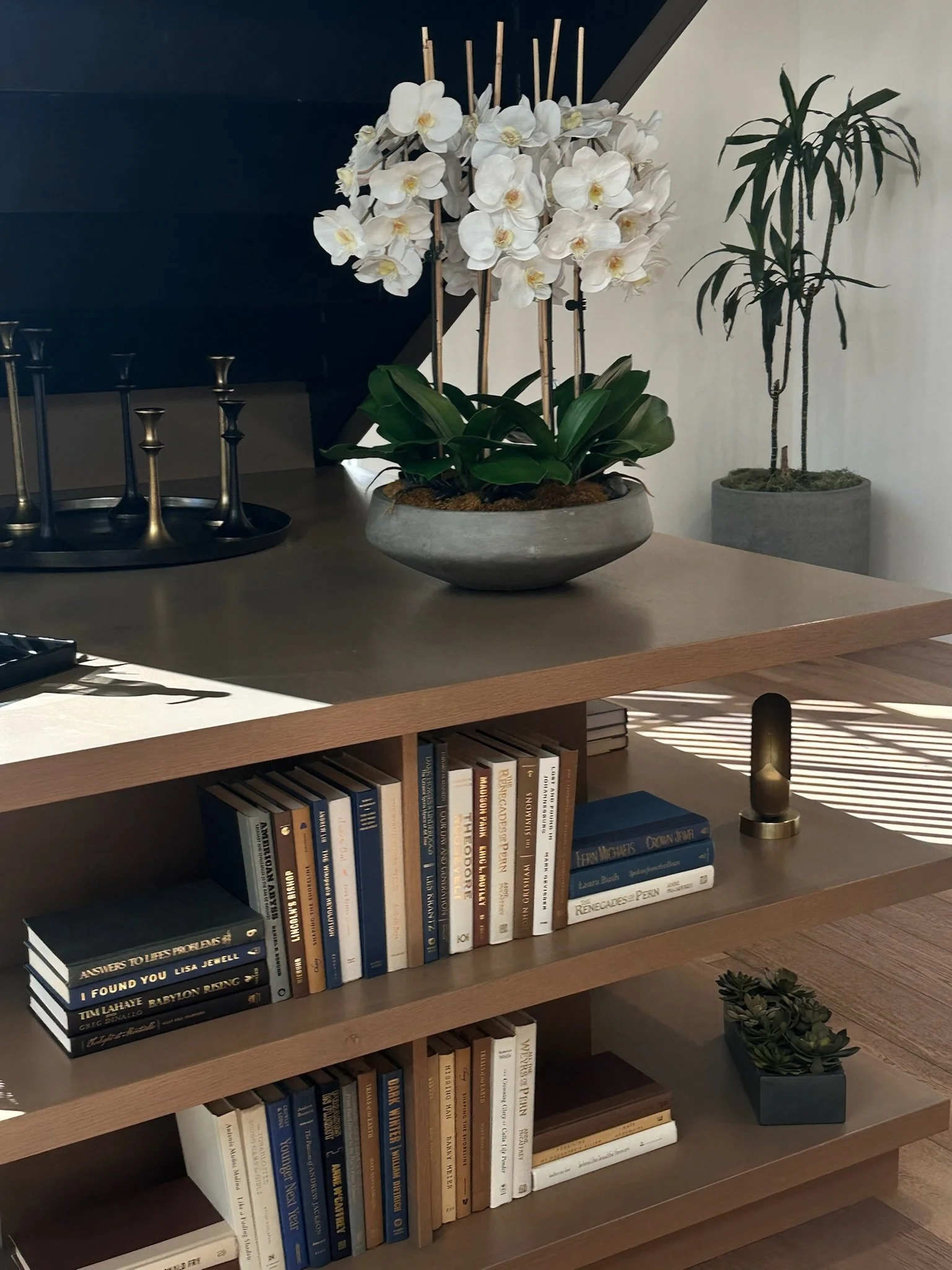 A wooden bookshelf with two shelves filled with books, a small cactus plant on the lower shelf, a decorative cylindrical lamp, a large potted orchid with white flowers on top, and another tall potted plant in the background.