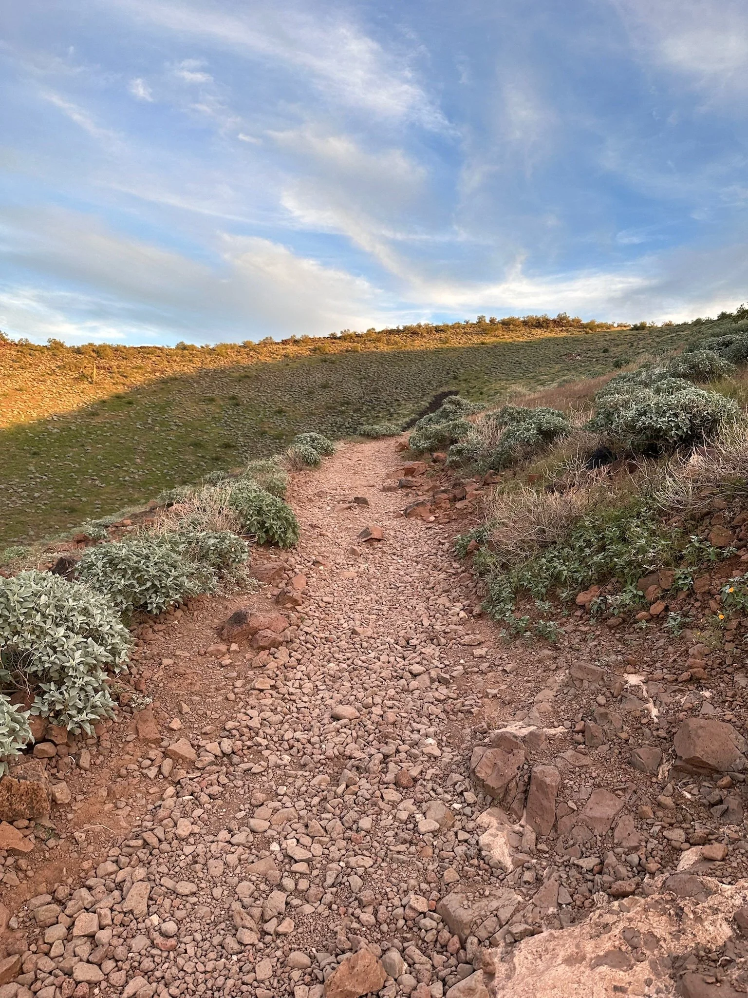 A rocky dirt hiking trail leading up a hill with sparse green bushes on both sides, under a partly cloudy sky at sunset.