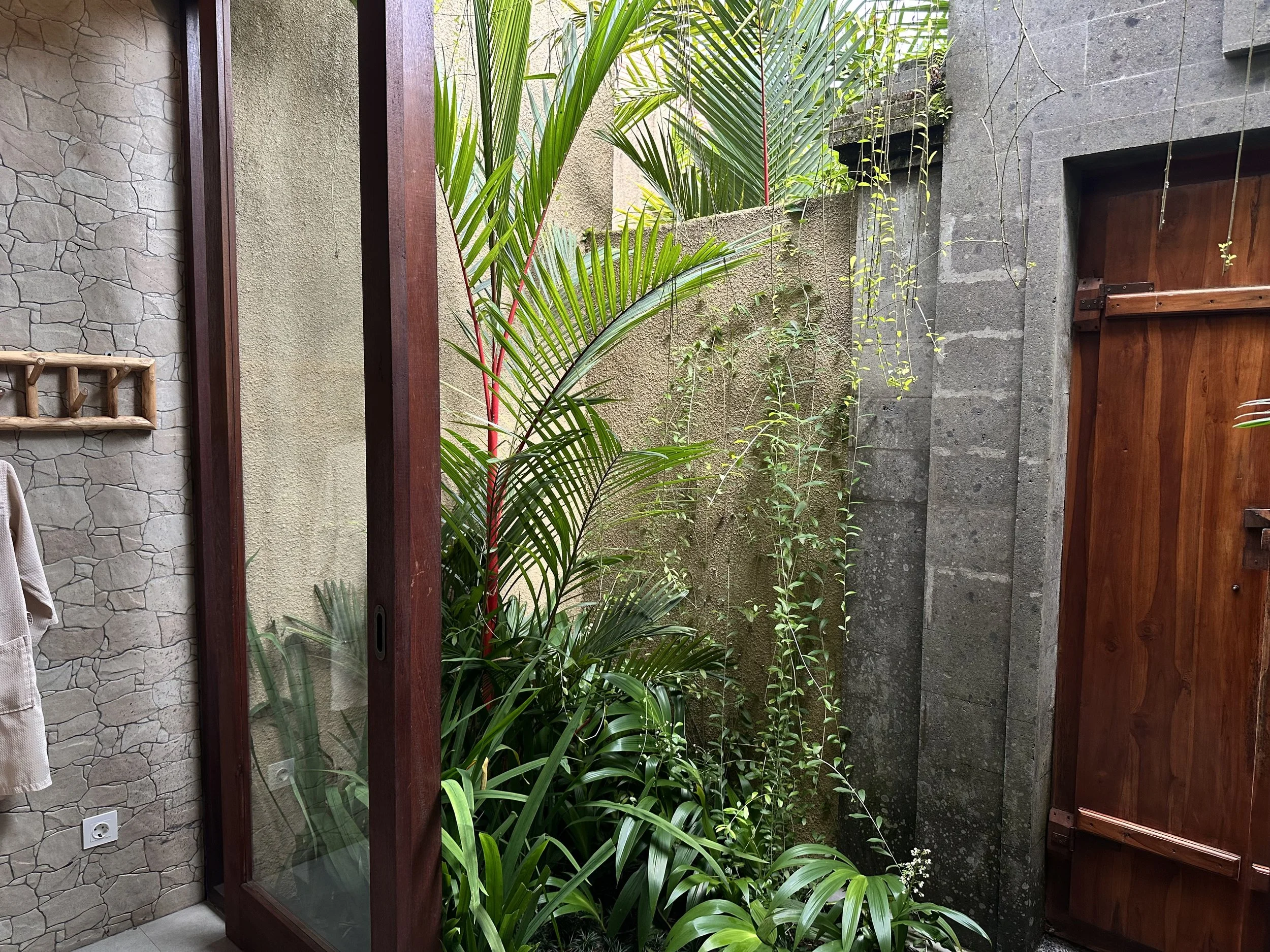 Indoor garden with lush green plants and a stone and concrete wall, open wooden door, and a textured stone wall with a coat rack and electrical outlet.