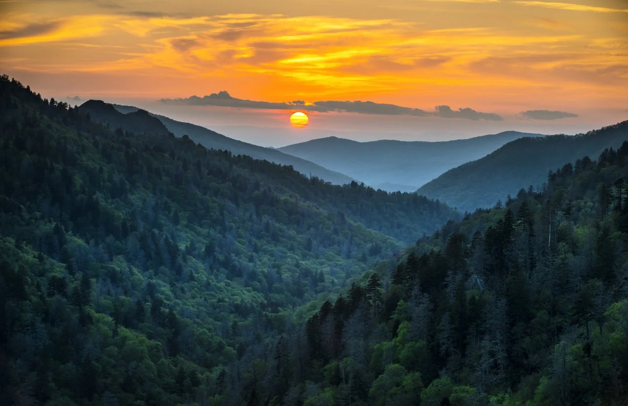 Sunset over a mountain range covered with dense green forest.