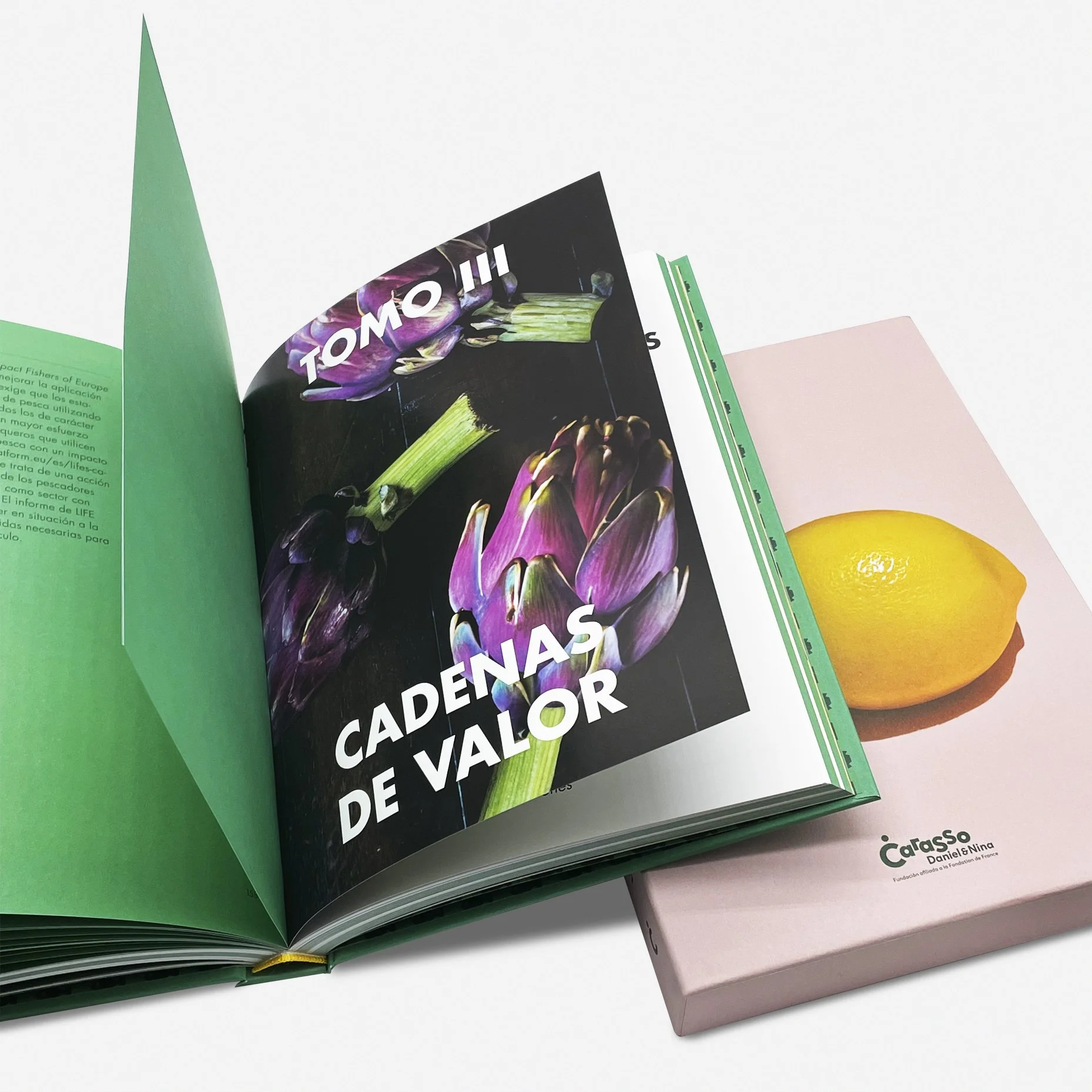 Libro Verde