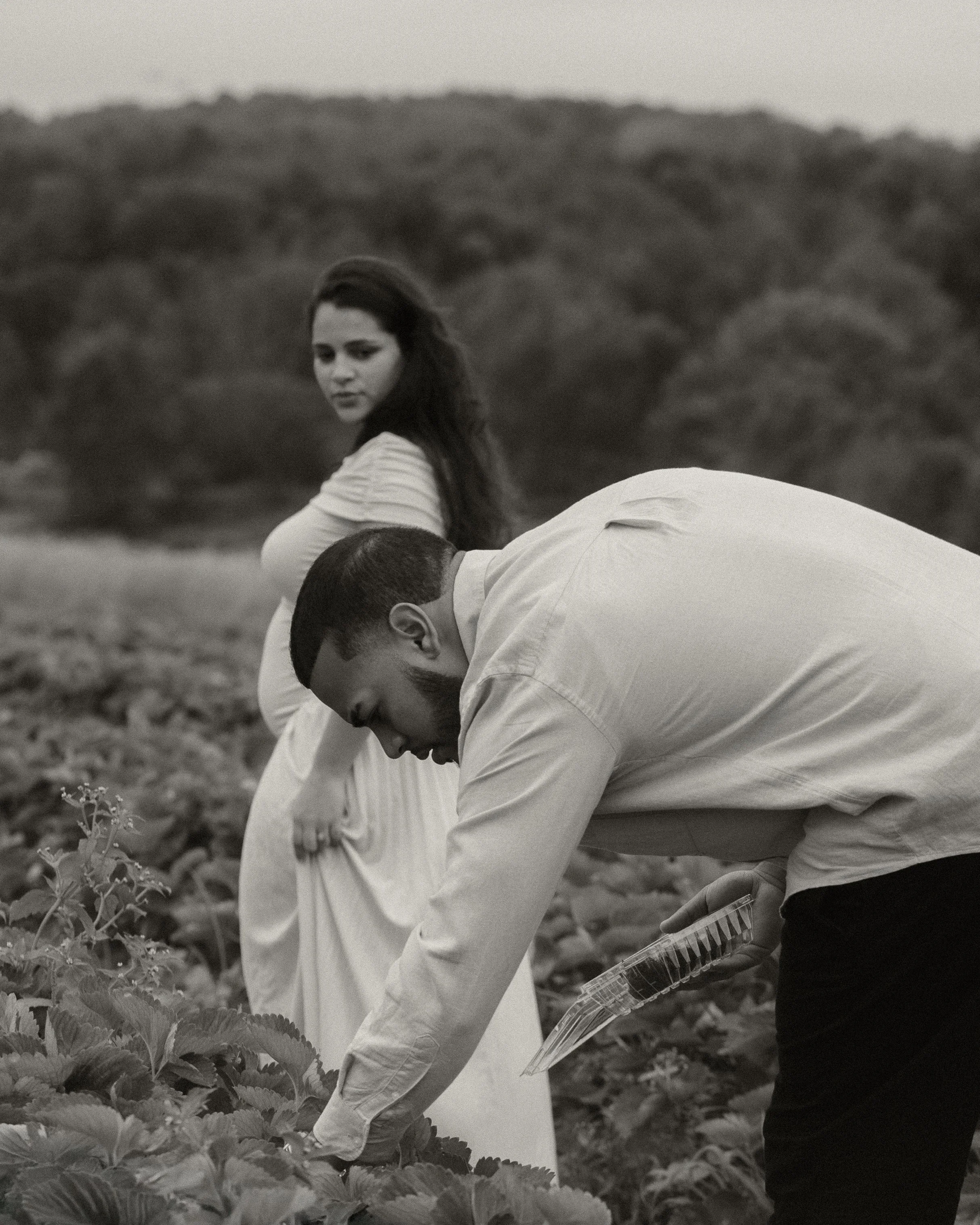 A man and woman in a field of plants. The man is bending down and holding a plastic container, while the woman looks on. The scene is outdoors with trees in the background.