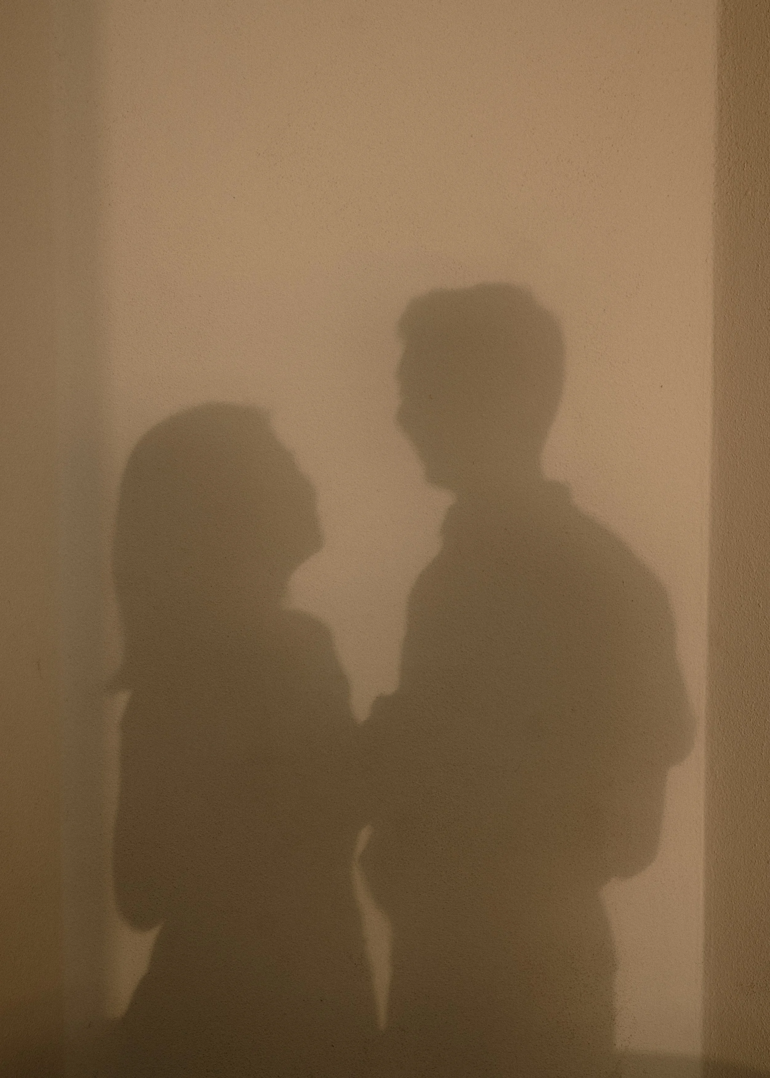 Shadow of a man and woman facing each other on a wall.