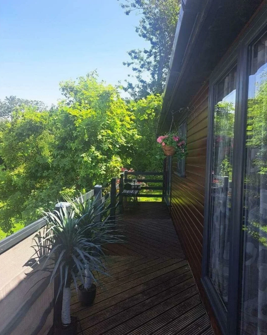 Balcony with a wooden railing, potted plant, and hanging flower basket, overlooking green trees on a sunny day.