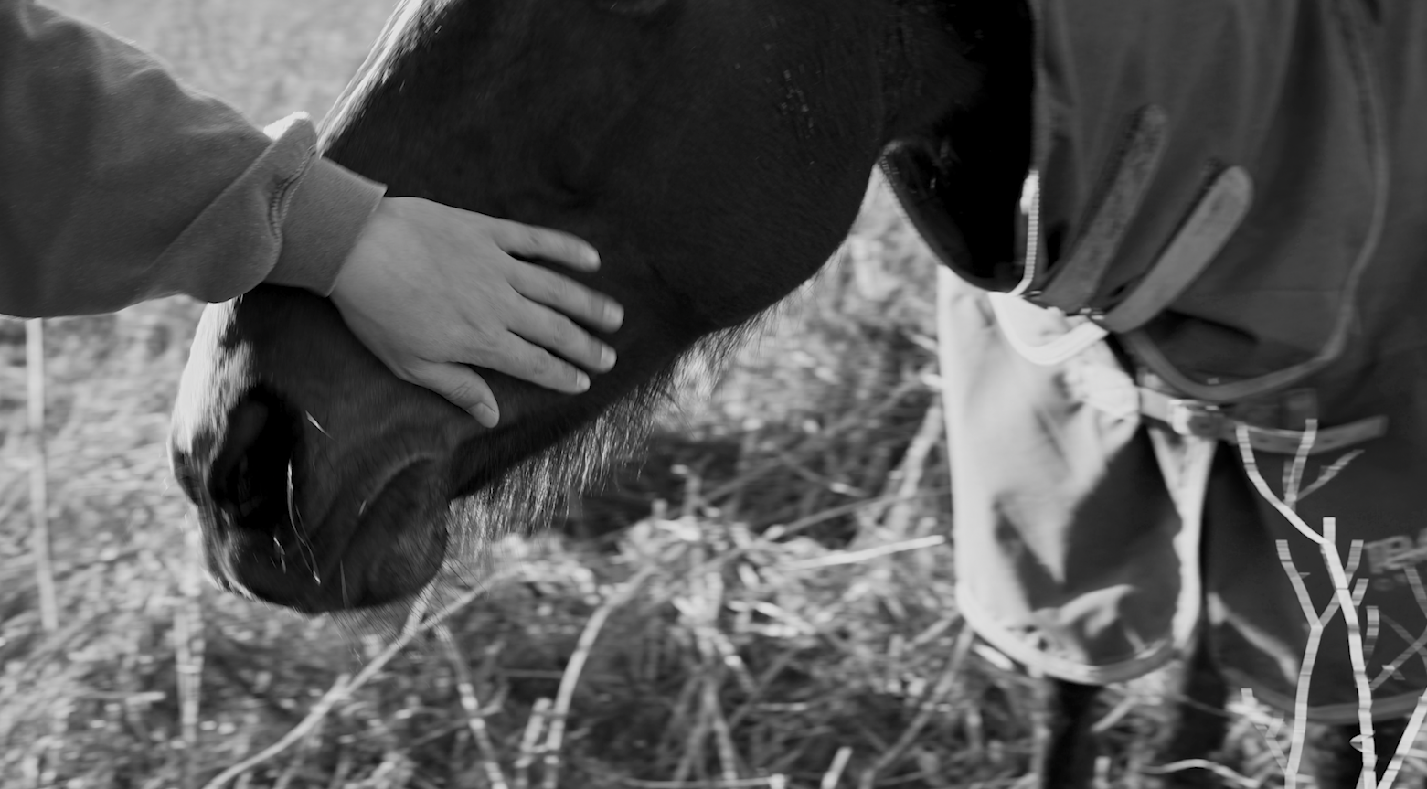 Screenshot 2025-04-16 at 13.42.36.png